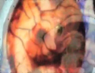 Dying nasa scientist reveals truth about life on mars #3