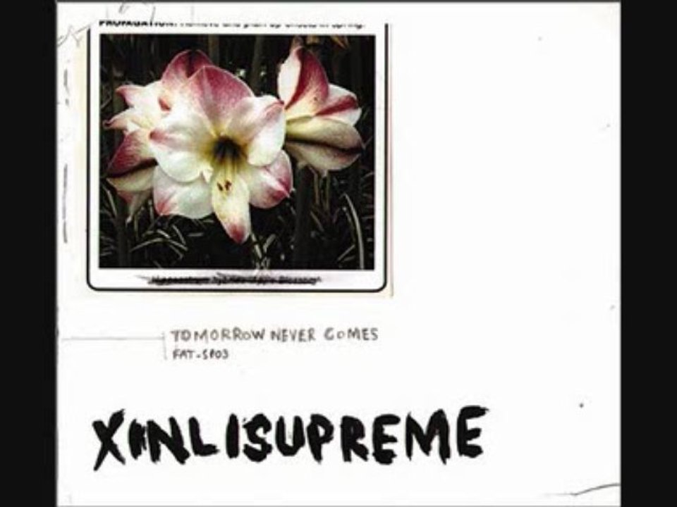 Xinlisupreme - All you need is love was not true