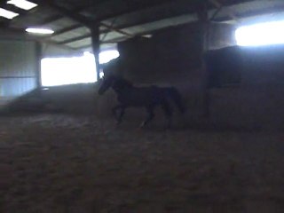 Ramono saut liberté Décembre 2009