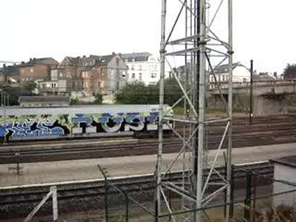 Photo 010