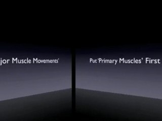 Muscle Building Exercises To Gain Weight Fast