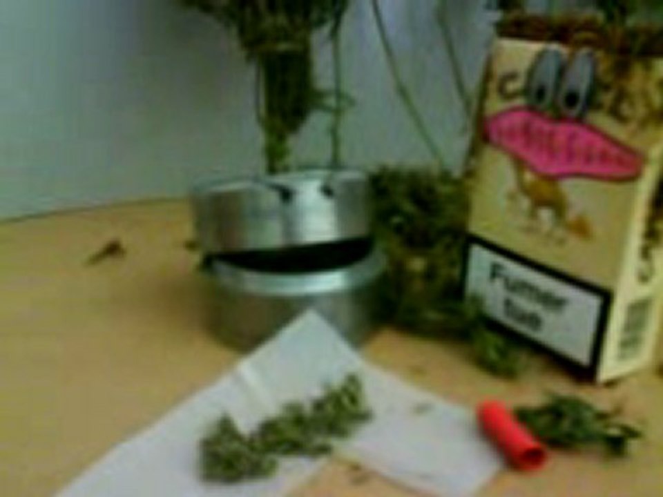 Mr grinder et Madame camel