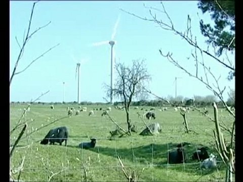 Comienza la Cumbre del Cambio Climático en Copenhague