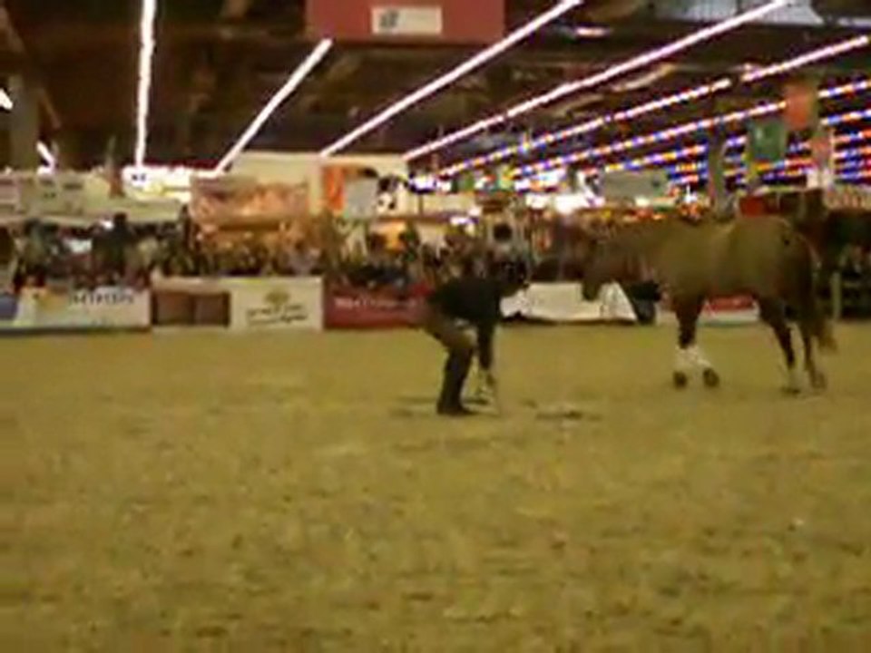 Salon du cheval 06/12/2009 - Démo Andy Booth