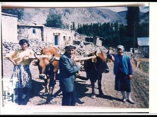 ÇATALELMA KÖYÜ 2009