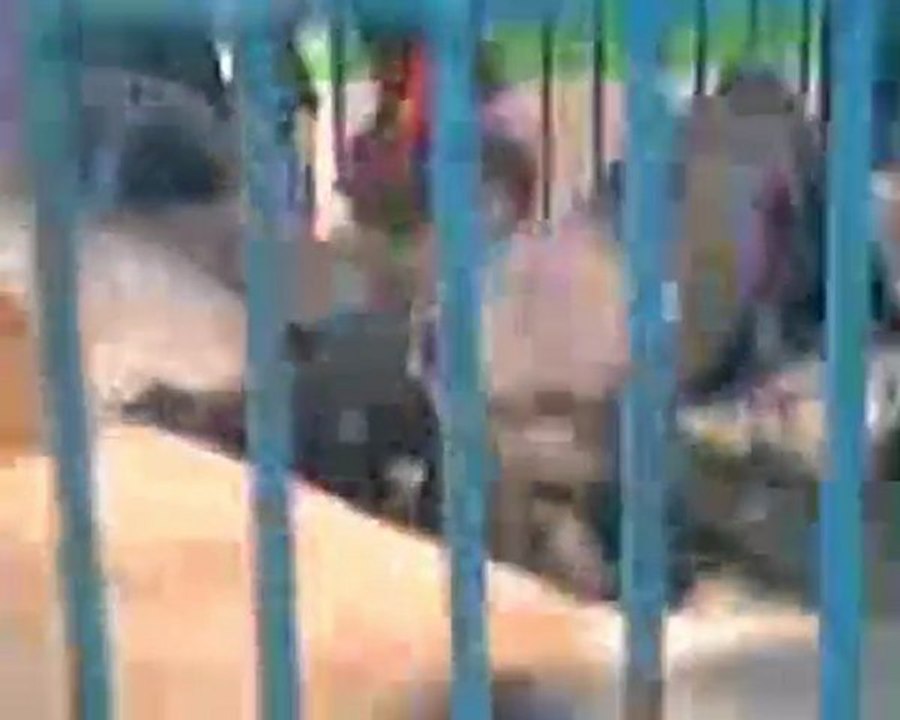 ESKİŞEHİR GÜVERCİN PAZARI