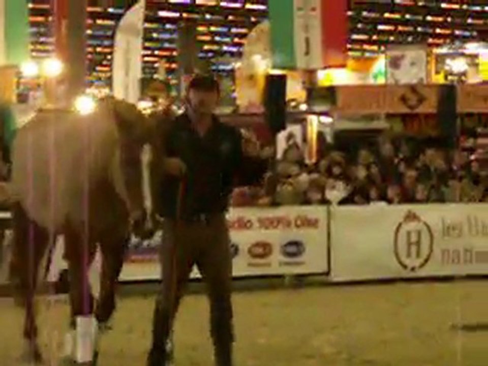 Salon du Cheval 06/12/2009 - Démo Andy Booth