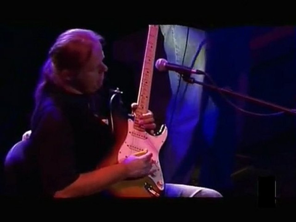 Walter Trout-Catfish blues -Luna Lunera.Sos Rey Catolico.