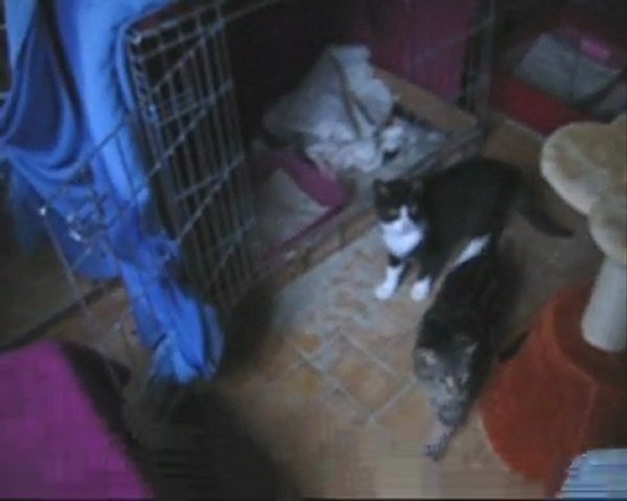 07/12 - Gaspard et Jolicoeur