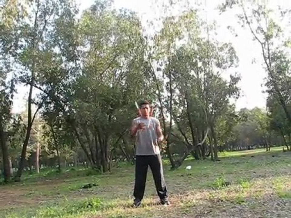 means for self-expression (tricks & skills)