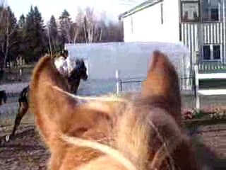 ma juju et moi sur presque 3pied