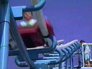 Roller Coaster For Sale