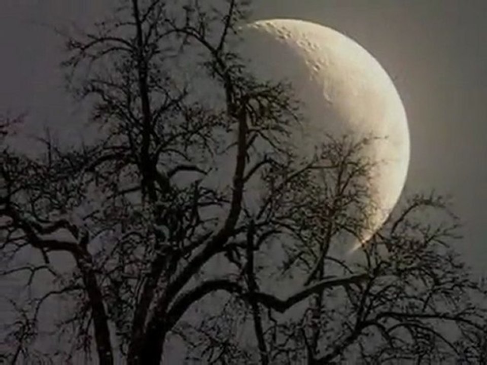 RüYaLaR.. ( Dreams )