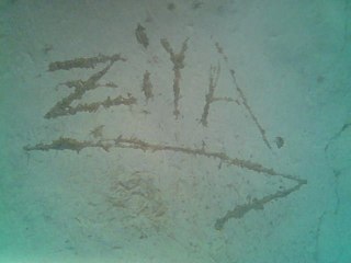 KAYGUSUZ ABDAL -AVRADINI