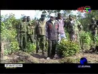 La réserve de Léfini est gravement menacée de déforestation