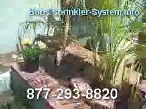 Consultations in San Diego