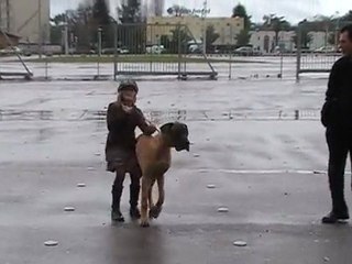 Eros du domaine de sultan et Océane