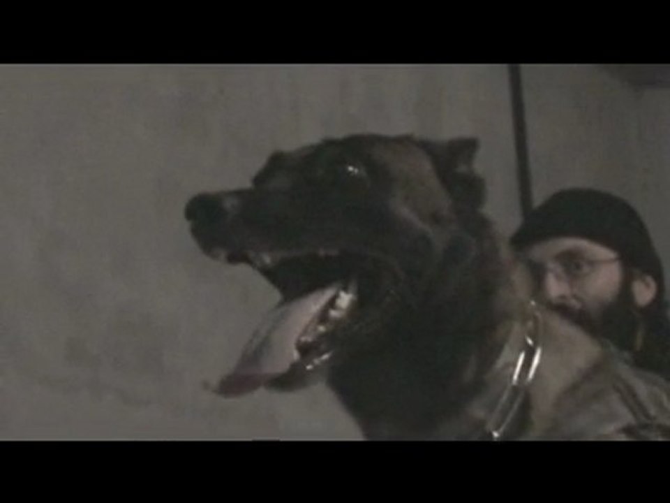 ENTRAINEMENT DES CANINS