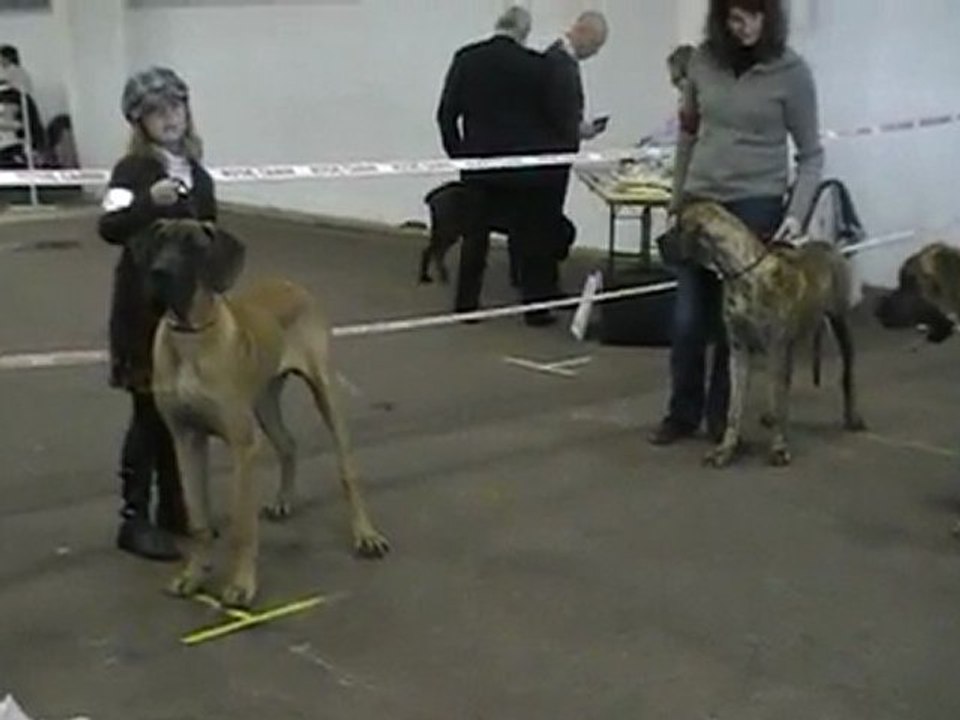 Eros du Domaine de Sultan meilleur puppy de la journée