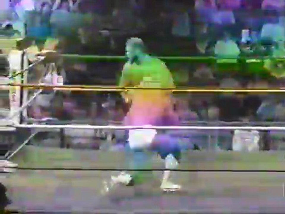 Arn Anderson vs. Shane Douglas