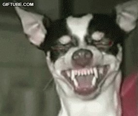 Neophyte Records All Stars at Nightmare 5-12-2009