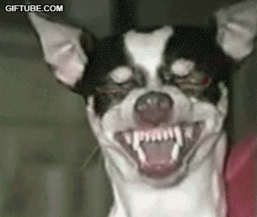 Neophyte Records All Stars at Nightmare 5-12-2009