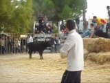 video de l'encierro de guallargues monteils et martini