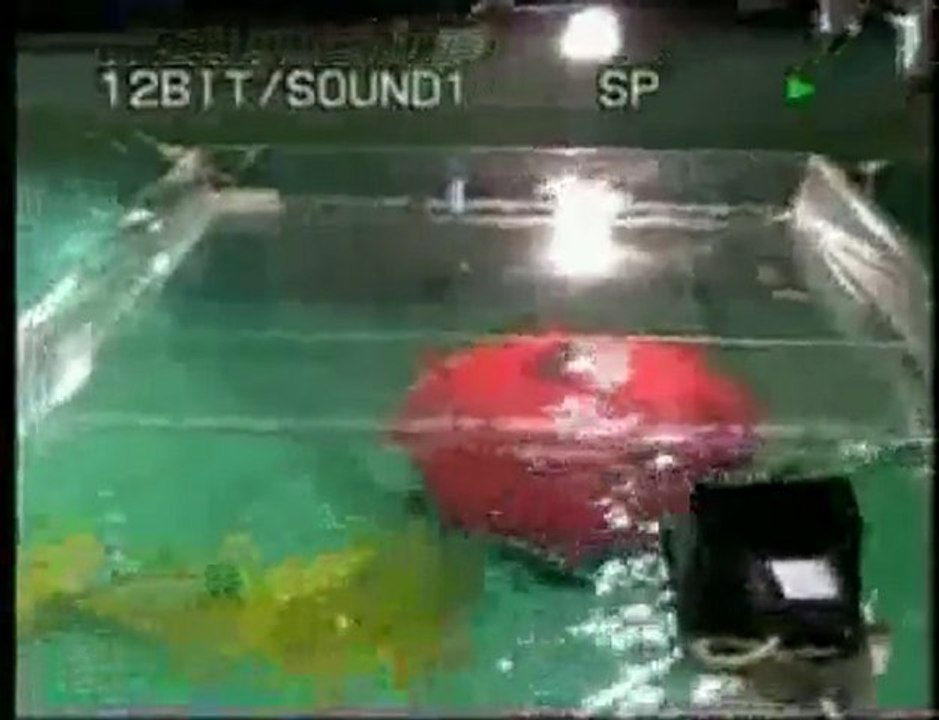 K-Ster ROV, robot de déminage