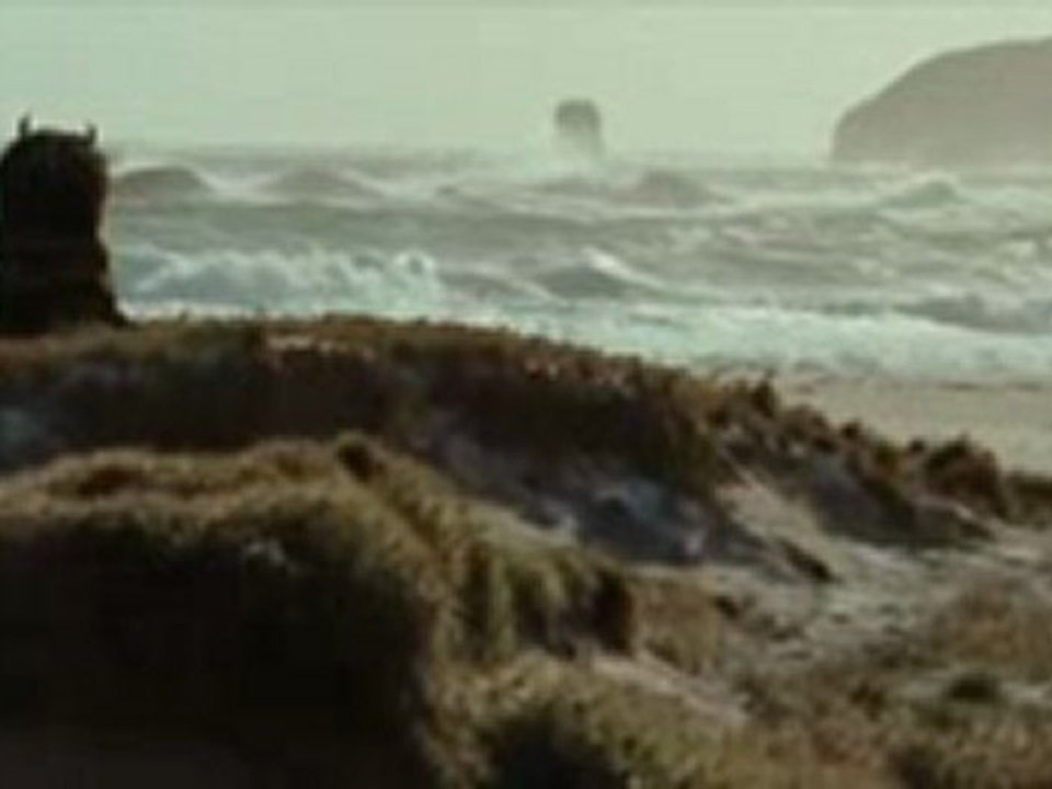 Where The Wild Things Are - TV Spot Hideaway