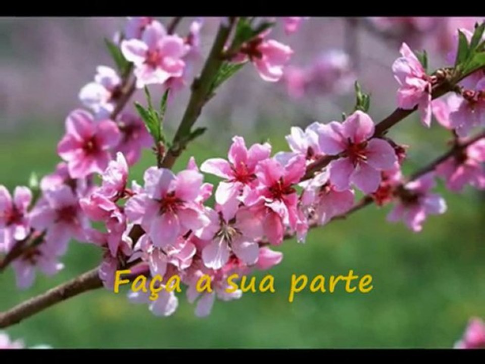 Change - Mude