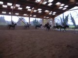 Dressage Mise en Selle 28 Novembre