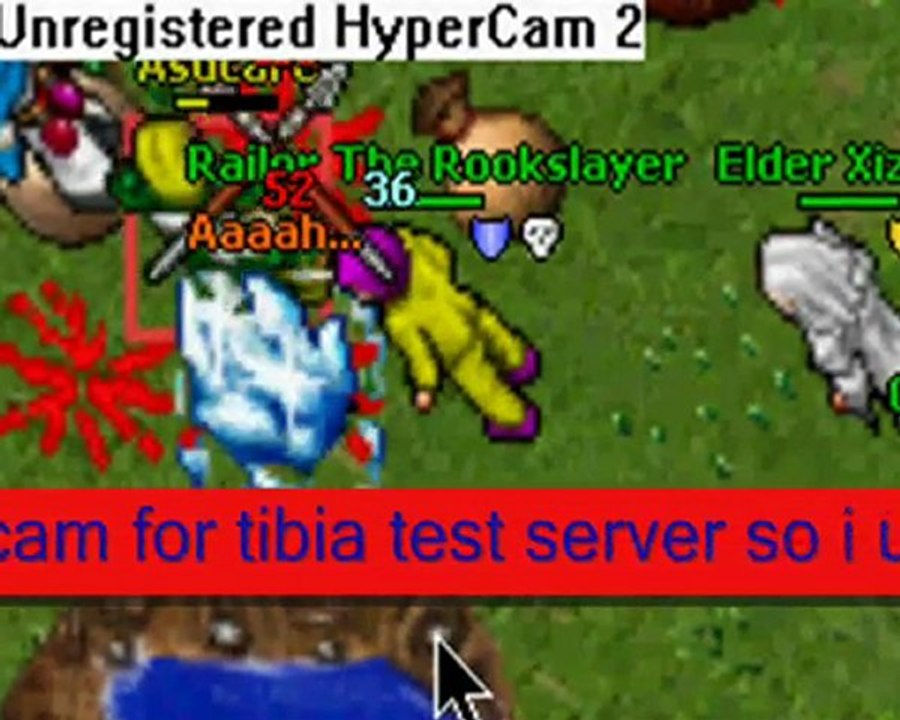 Tibia Lunara Pk