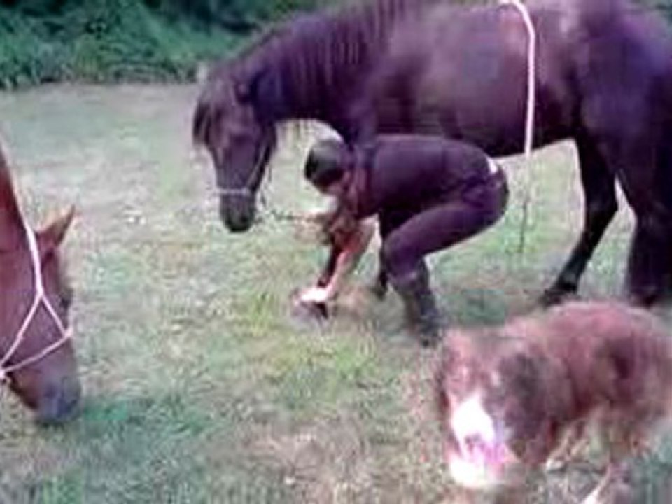 11 aout 2009 (2)