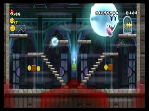 New Super Mario Bros Wii ( SPOILER )