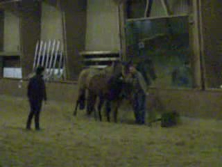 athéna curieuse....