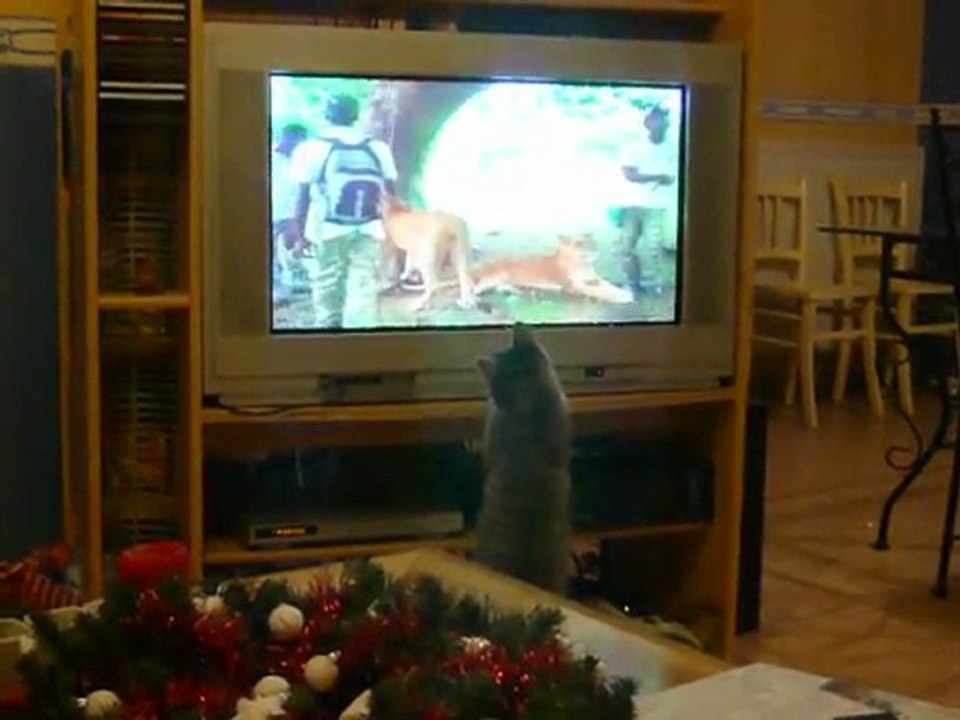 loustic 26