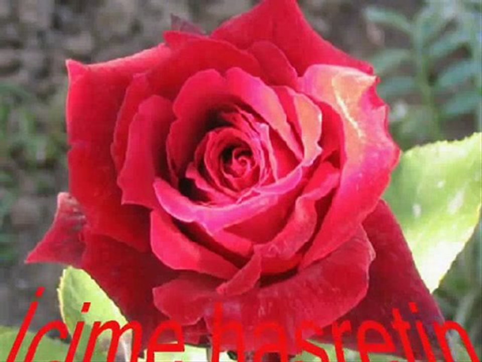 Gökhan Güney Bir Seni Düşündüm