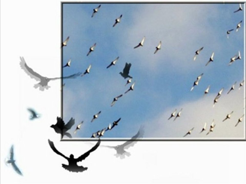 Gözlerin-Zülfü Livaneli Kurgu: Ömer Ermiş