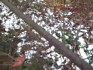 1724 Highland in Kalamazoo MI is for sale