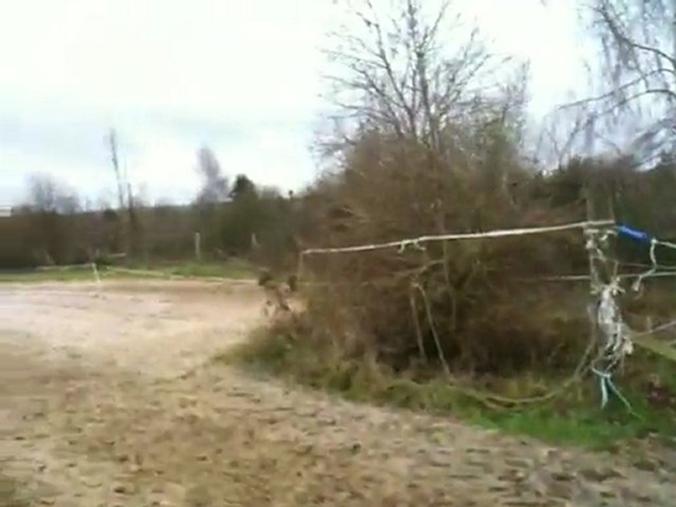 Olijnyck maria CCE 6/12/09