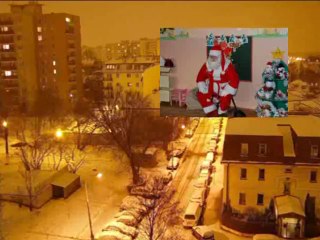 CHOINKA NORBIEGO-NORBI