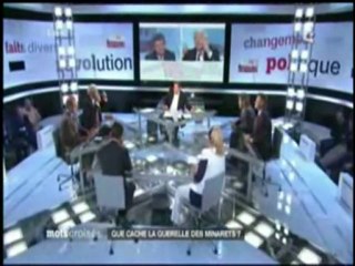 Animosité, hostilité envers l'histoire du peuple français