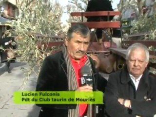 Fête de l'huile Primeur 2009 à Mouriès