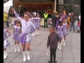 LES FLAMMES D'AQUITAINE