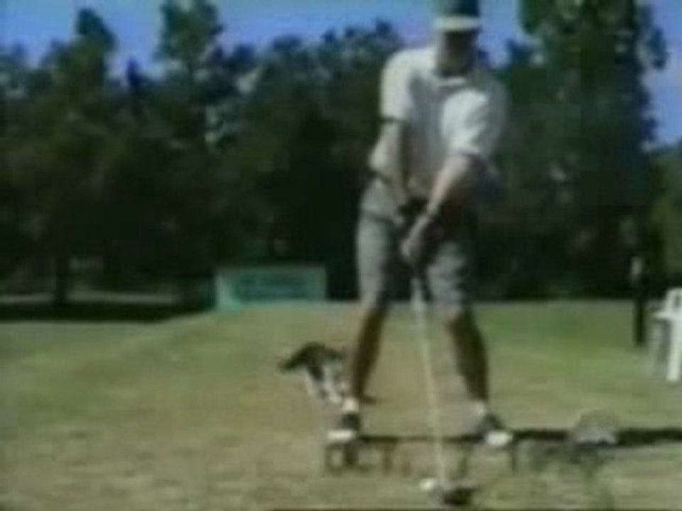 Tout le monde ne pas doue pour le golf