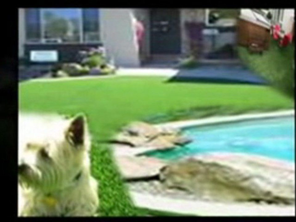 Artificial grass Dubai Hotels ' Posted By: SouthTravels