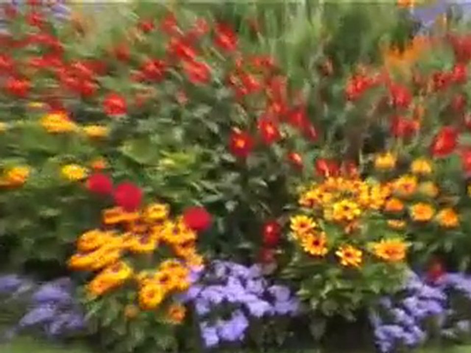 Bernard-H.264 800Kbps Streaming