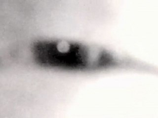 v2 Three Can Keep A Secret