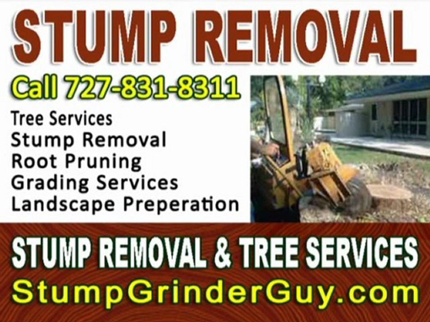 ⁣Stump Removal In Clearwater