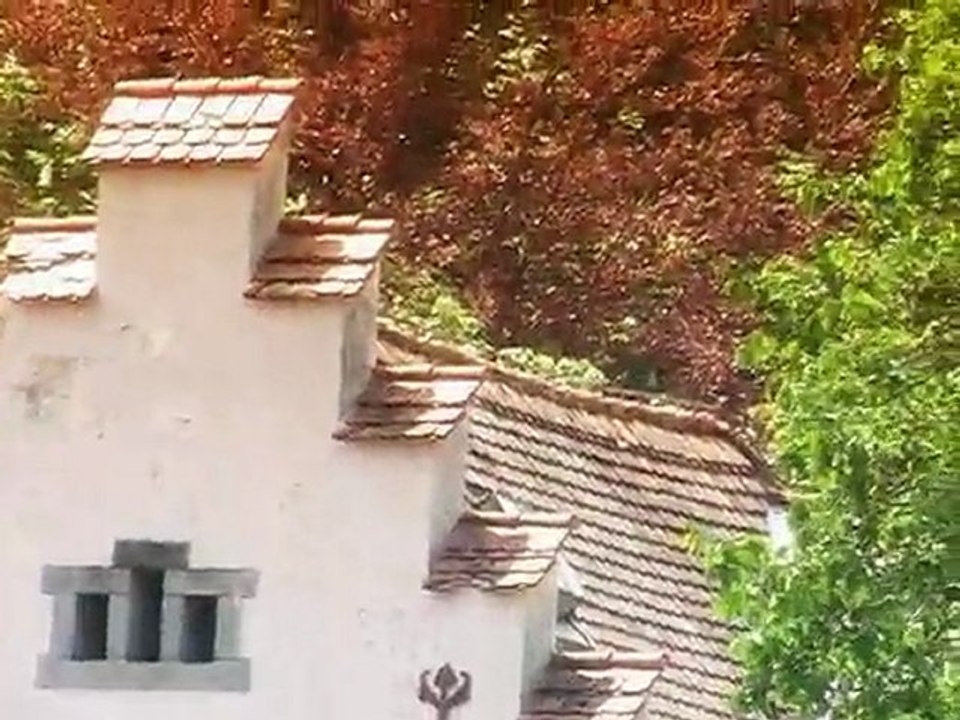Transilvania